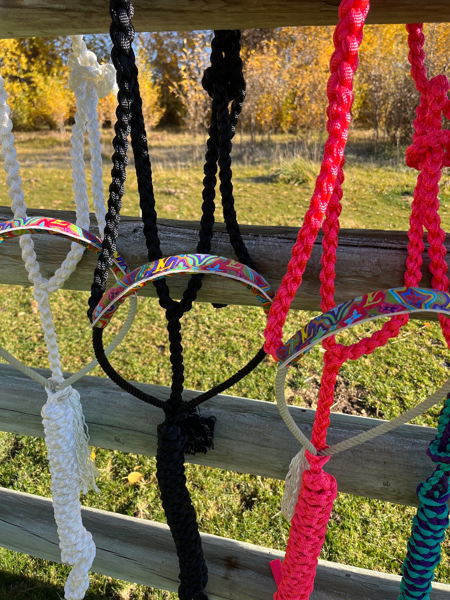 Ready to Ship LV Rope Halters