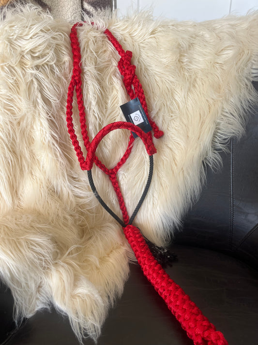 Custom Rope Noseband Halter