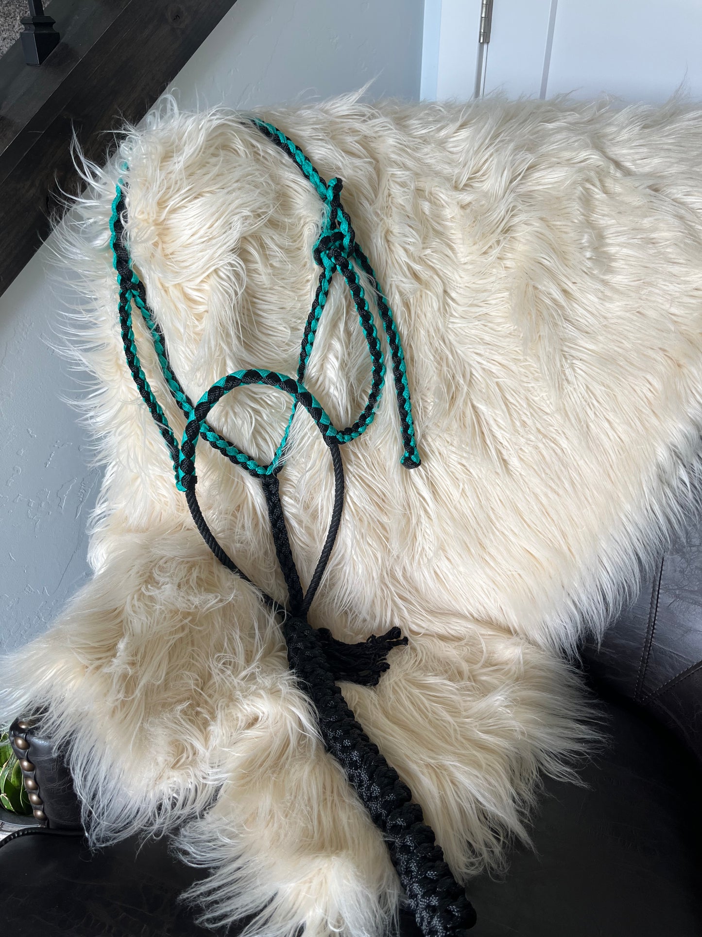 Customizable Rope Nose Band Halter