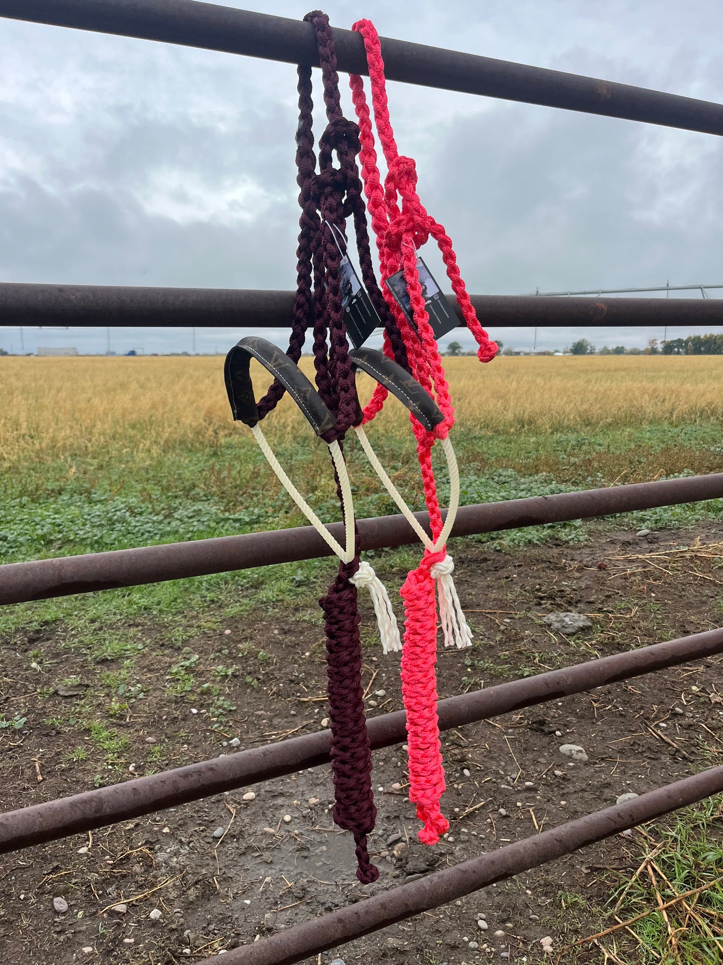 Custom LV Rope Noseband Halter