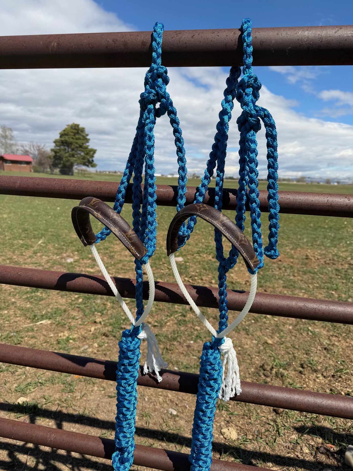 Custom LV Rope Noseband Halter