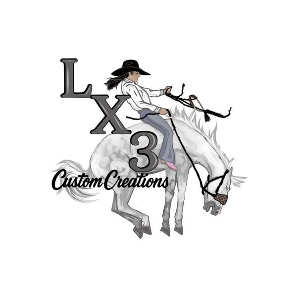 LX3 Custom Creations